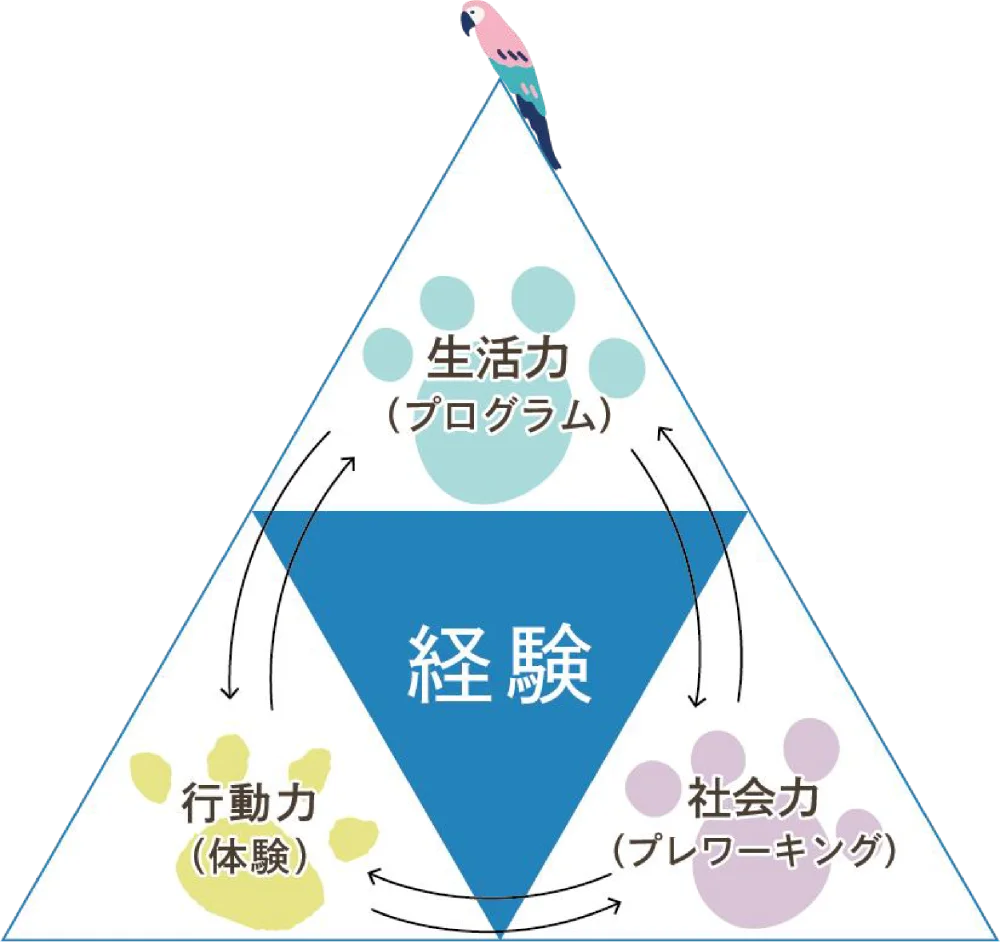 3つの力のトライアングル